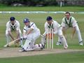 Richie Berrington sweeps watched closely by the Irish fielders.jpg
